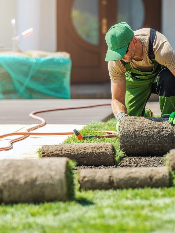 professional-landscaper-installing-new-grass-turfs-in-a-garden.jpg