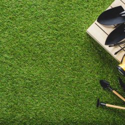 top-view-of-gardening-tools-and-equipment-on-grass.jpg